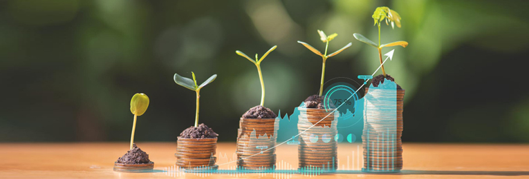 Illustrated image depicting the growth stages of a small plant emerging from a stack of coins.
